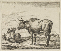 TvB G 3004
<br/>
Staande stier
<br/>
<em>Velde, Adriaen van de (1636-1672)</em>